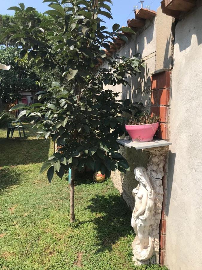 Mirella'S House Viaverona Ardea Bagian luar foto